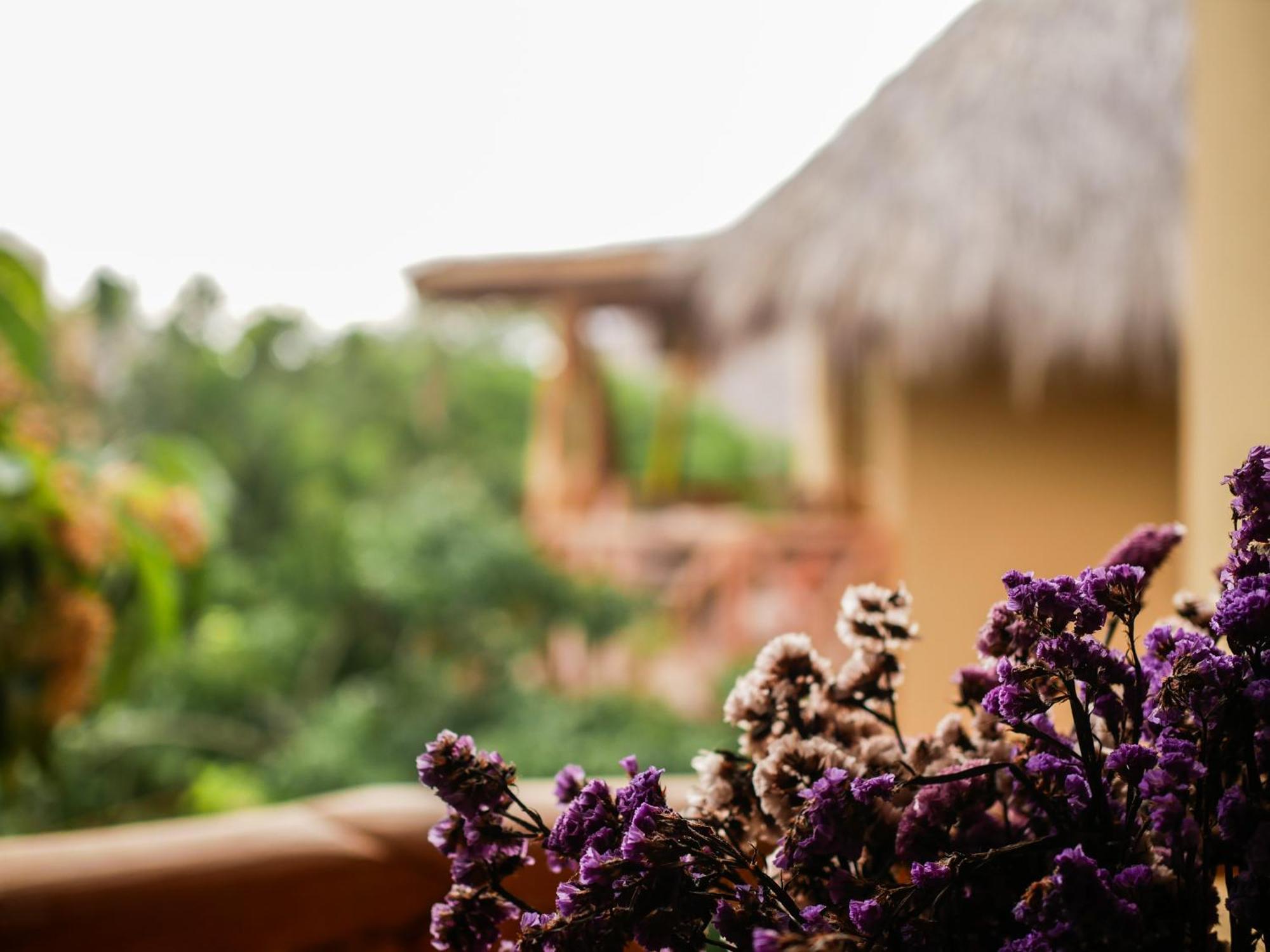 Carpe Diem Casitas & Villas Mazunte Camera foto